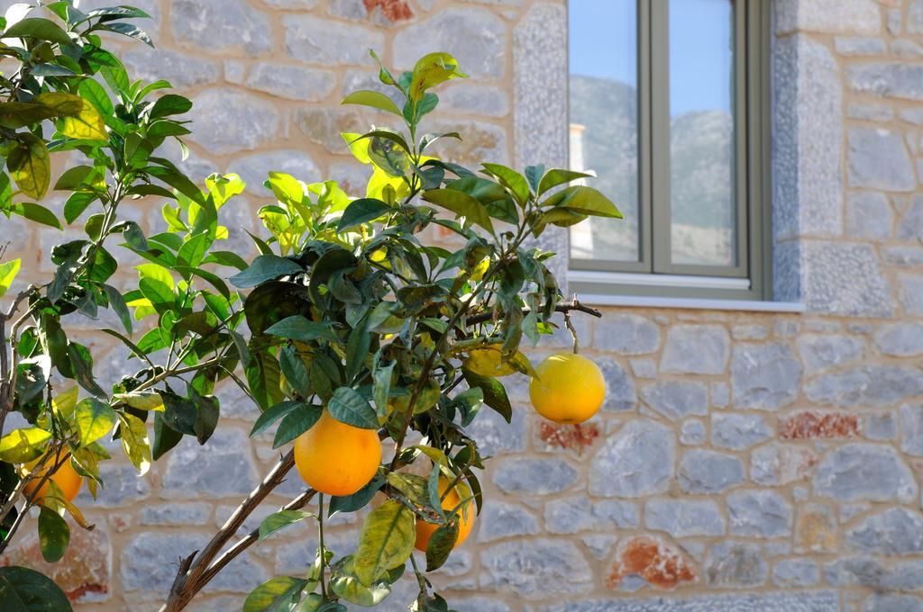 Nikoloudi Estate Ágios Nikolaos Exterior foto